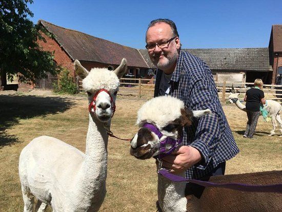 Middle England Farm Alpacas
